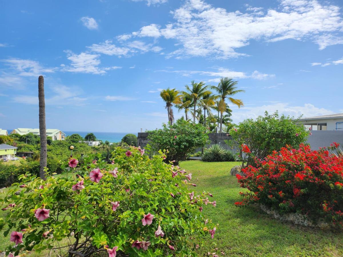 Villa 6-10 Pers, Vue Mer, Piscine Privee, Plage A Pieds Le Gosier  Exterior photo